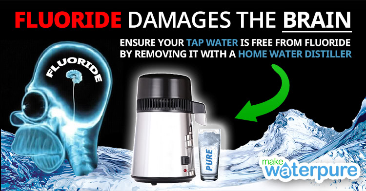 Fluoride damages the brain 