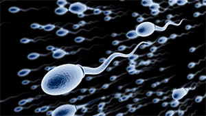 Fluoride sperm